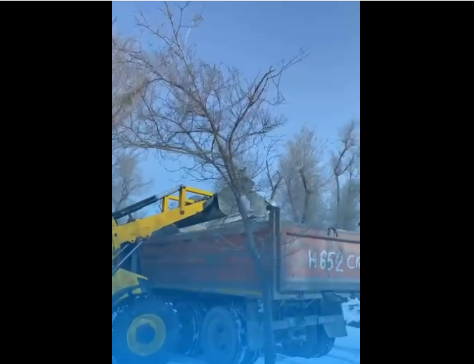 ТАЗАЛЫҚ ТОЛАСТАМАЙДЫ