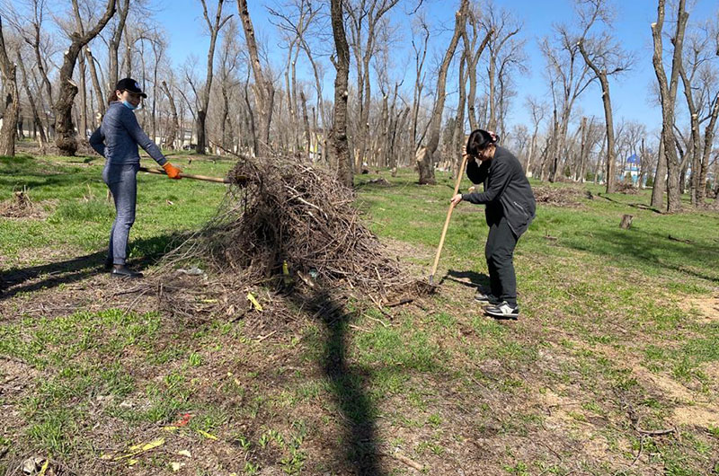 Абаттандыру, көгалдандыру және бояу жұмыстары