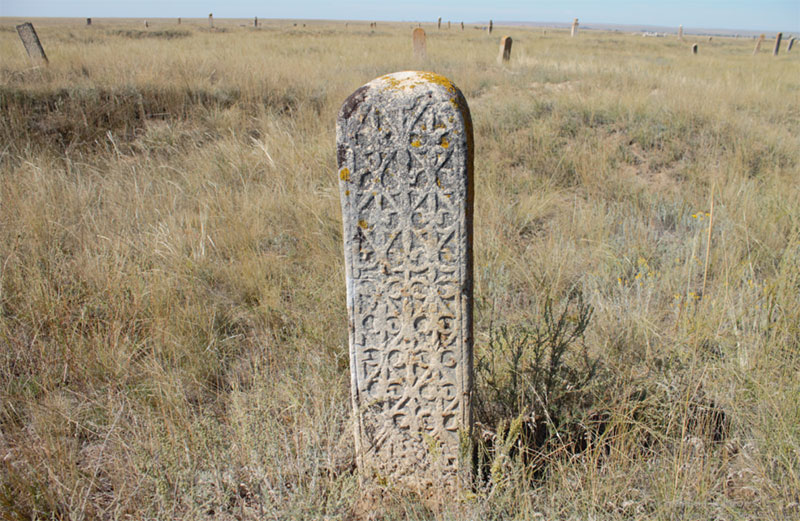 Өркендеу символы – қызғалдақ!