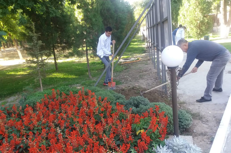 Сенбілік жұмыстар