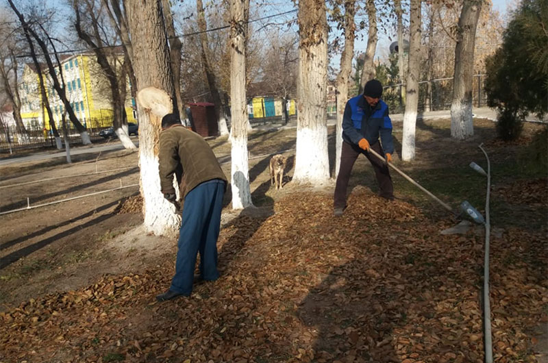 Кесенелердің аумағында тазалау жұмыстары жалғасуда